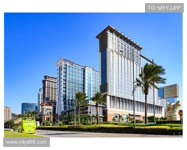 探索金沙城中心赌博的魅力与风险，如何理智投注？