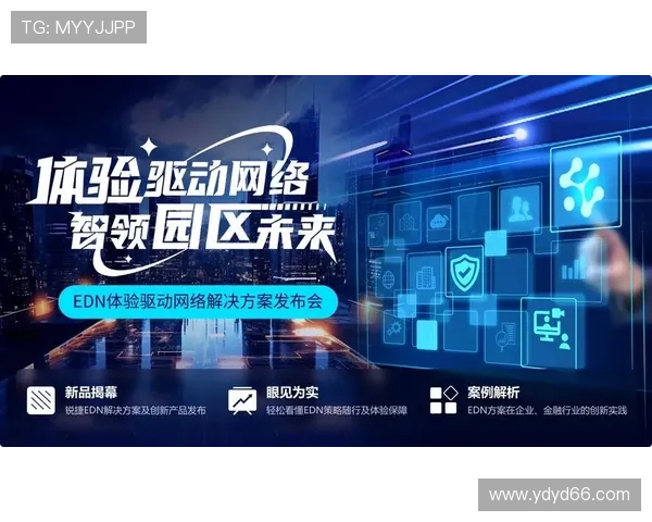 探索必赢网址官网入口的安全性与用户体验 探索必赢网址官网入口的安全性与用户体验