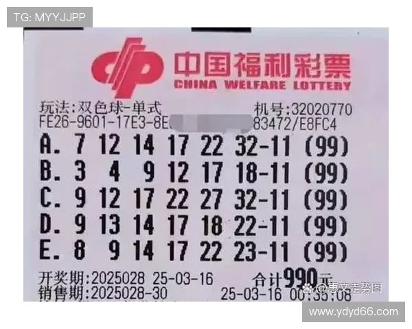 彩票4331期开奖结果揭晓，幸运号码震撼公布